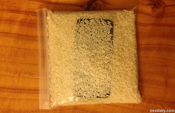 iPhone w worku ryżowym