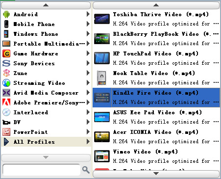 Choose output Kindle Fire format