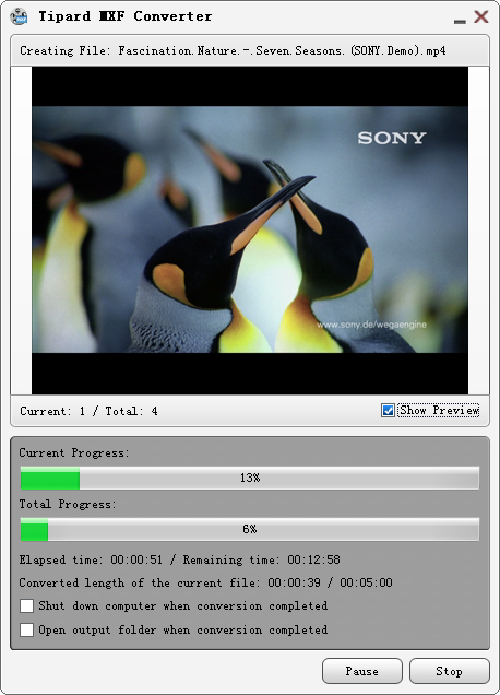 Convert MXF to Avid Media Composer