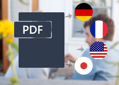Multilanguage Support & Page Range Options