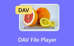 DAV File Player