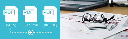 PDF birleştirici
