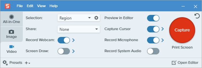 Snagit Interface