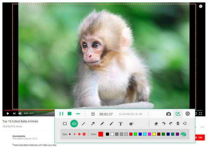 Stop Recording Video in Tipard
