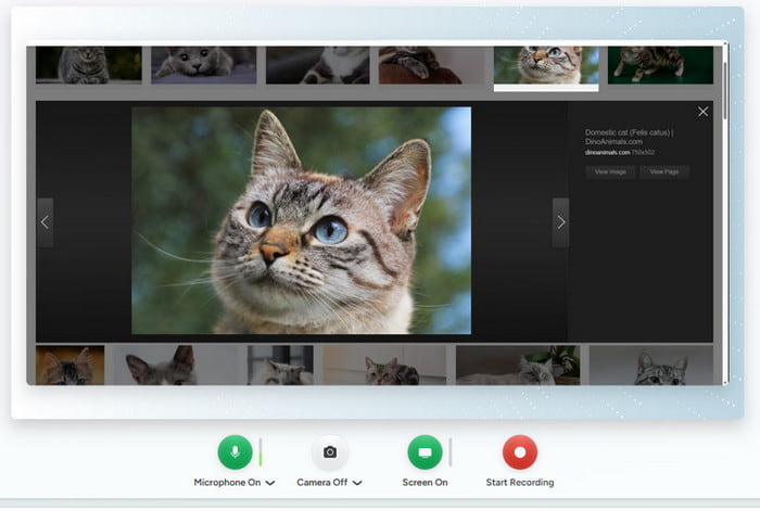 Camtasia Screen Recorder