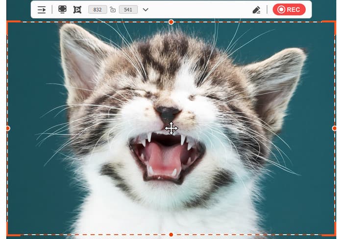 Tipard Screen Capture Debut Alternative