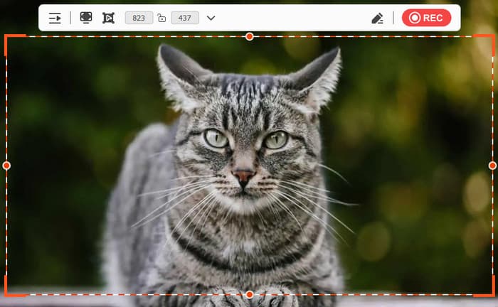 Tipard Screen Capture Comprehensive Screen Recorder
