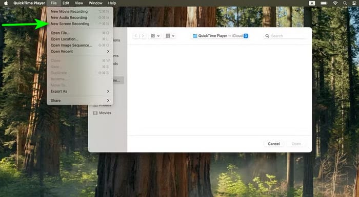 File New Screen Recording Quicktime