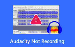 Audacity Not Recording