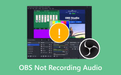OBS Not Recording Desktop Audio