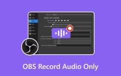 OBS Record Audio Only