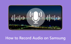 Record Audio Samsung