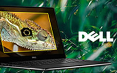 Tag skærmbillede på Dell