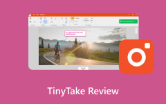 TinyTake Review