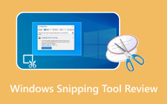 Windows Snipping Tool Review
