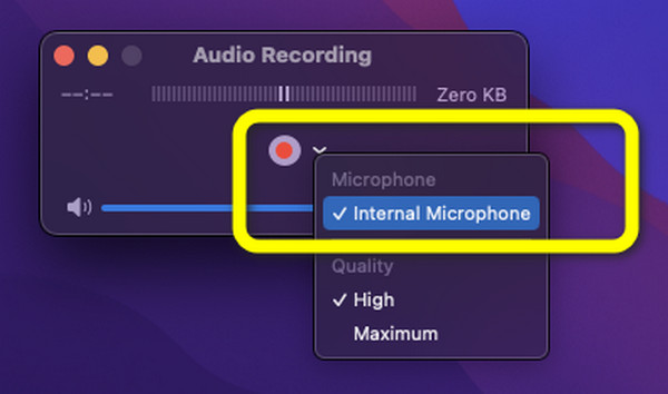 Internal Microphone