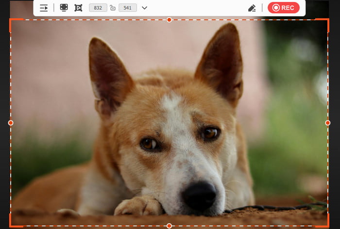 Tipard Screen Capture Alternative to Screen Studio