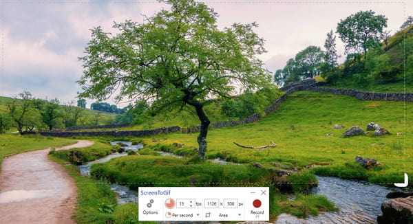 Screen Recorder Function