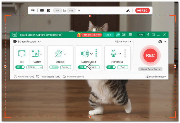 Tipard Screen Capture Top Alternative to ScreenToGif