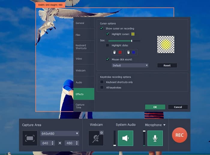 Movavi Screen Recorder