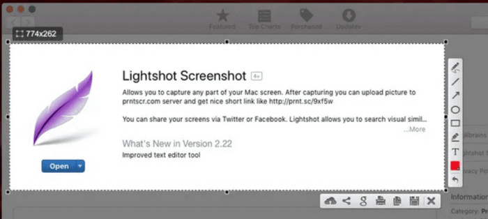 Lightshot Screenshot
