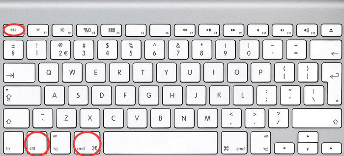 Press Command Control Esc Key