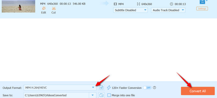 Start Conversion Process
