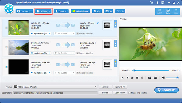 is avi the best video format for mac and windows