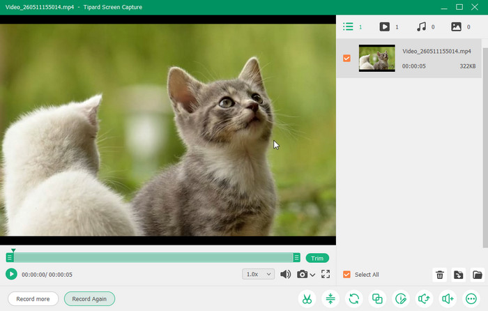 Tipard Screen Capture Alternative to OBS