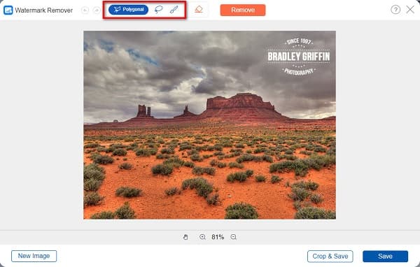 Select Remover Tool