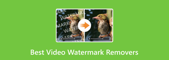 Best Video Watermark Removers