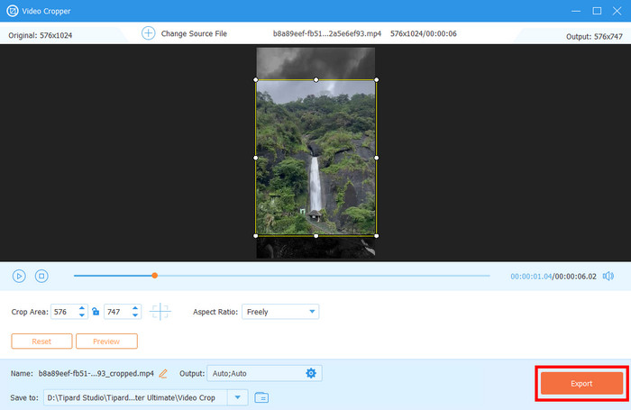 Export Save Video Tipard