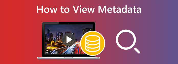 How to View Metadata