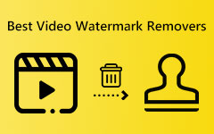 أفضل مزيلات العلامات المائية للفيديو