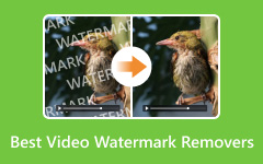 Best Video Watermark Removers