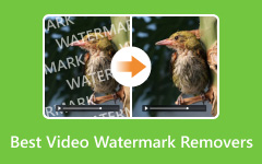 I migliori strumenti per la rimozione di filigrane video