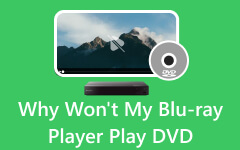 Blu-ray-speler speelt geen dvd af