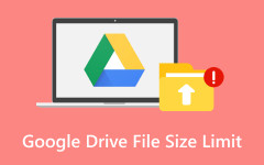 Google Drive File Size Limit