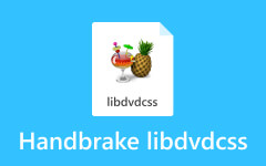 HandBrake Libdvdcss