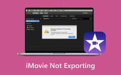 iMovie Not Exporting