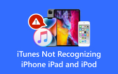iTunes no reconoce iPhone iPad y iPod