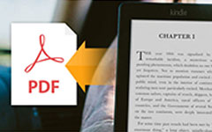 PDF'ye Kindle