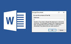 Microsoft Word Product Key