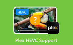 Поддержка Plex HEVC
