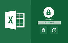 Recover Password from Excel