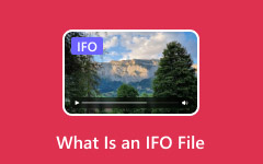 What Is an IFO File
