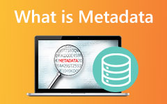 Co jsou metadata