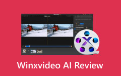 Winxvideo AI Review