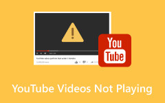 Videa YouTube se nepřehrávají