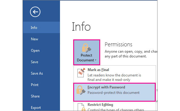 Protect Word Document